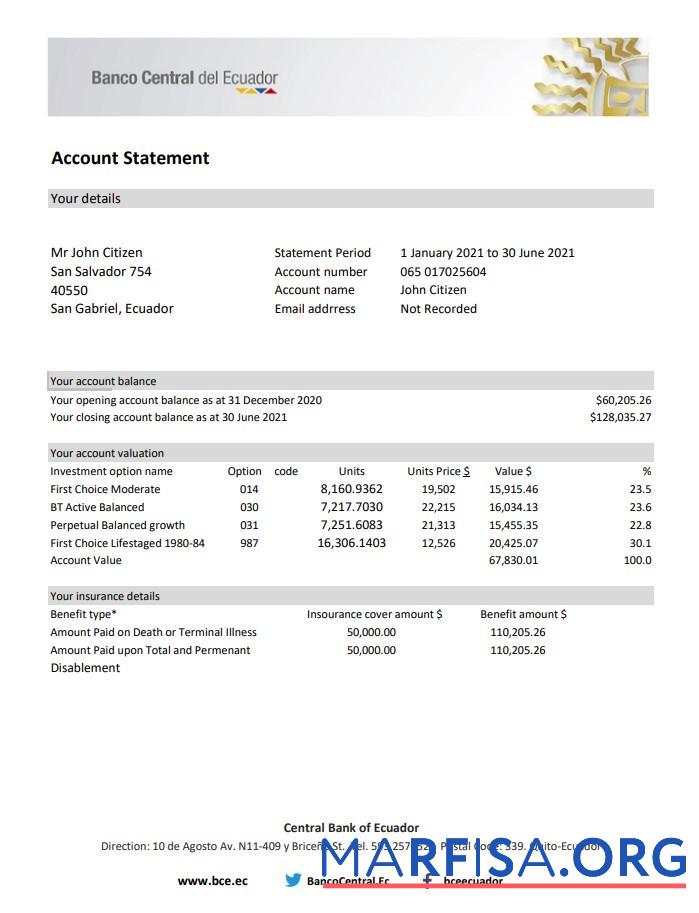 Blank Ecuador Central Bank of Ecuador bank statement excel example